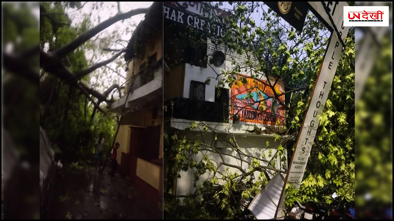 80 KM प्रति घंटे की रफ्तार से चली हवाएं, दिल्ली में कहीं उखड़े पेड़ तो कहीं घर गिरा