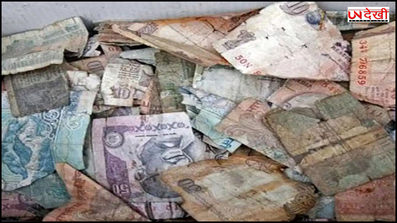 कटे-फटे नोटों से RBI करेगा क्या जुगाड़? आइडिया जान रह जाएंगे हैरान