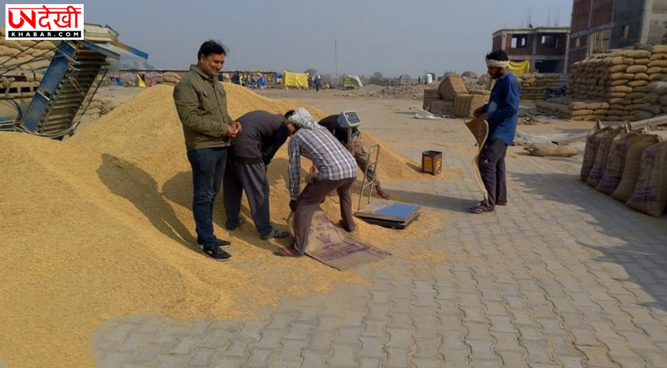 धान खरीद घोटाले में SIT की बड़ी कार्रवाई, पांच कर्मचारी गिरफ्तार