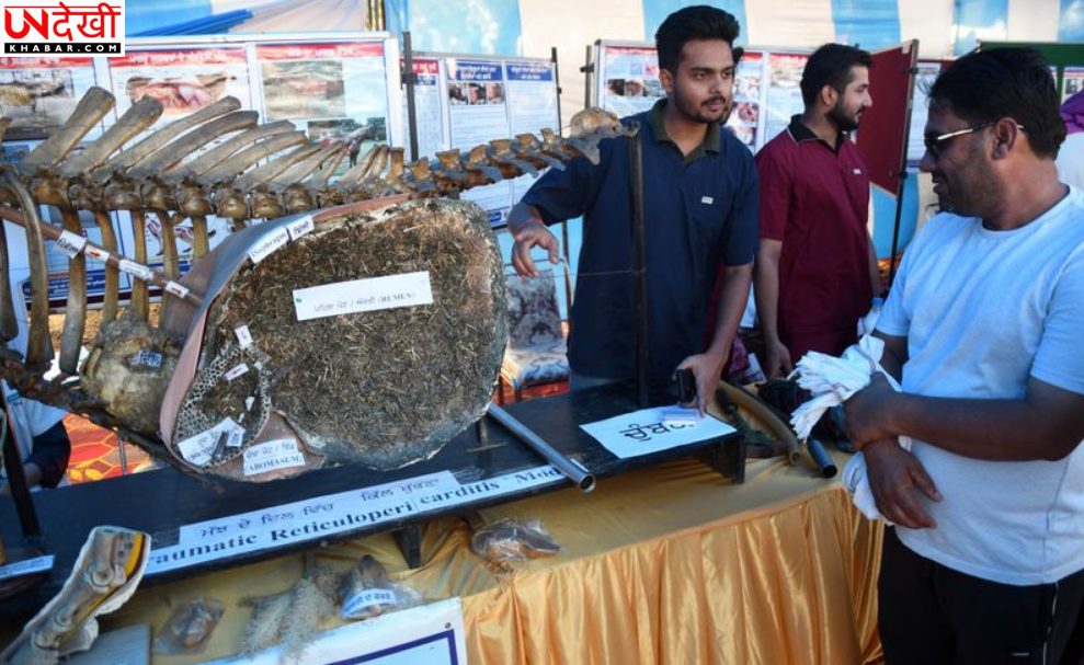 गडवासु में 20-21 मार्च को लगेगा ‘पशु पालन मेला’