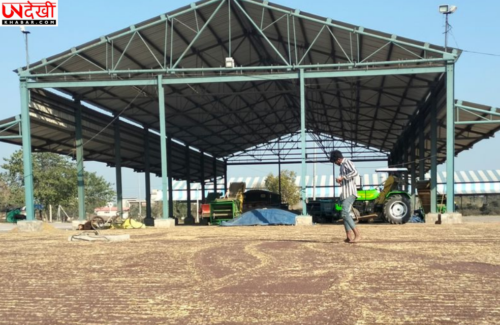 सरकारी खरीद शुरू होने का इंतजार कर रहे अंबाला के सरसों किसान