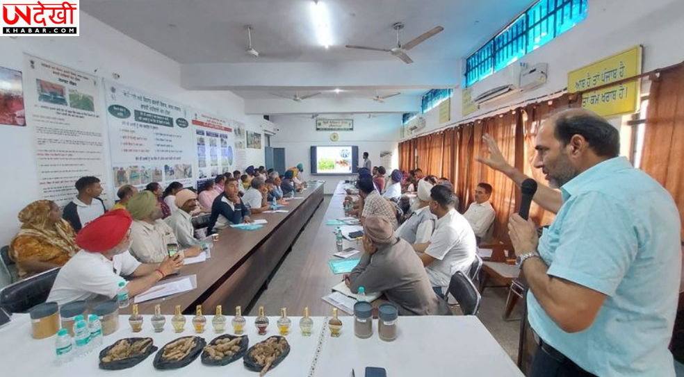 होशियारपुर में किसानों को सुगंधित व मसाला फसलों की उन्नत खेती का प्रशिक्षण