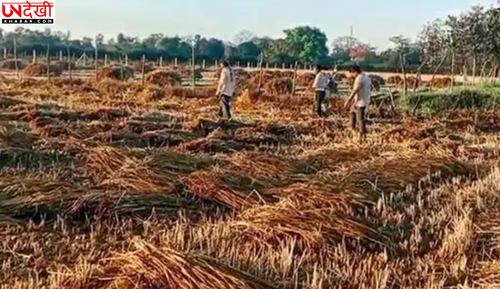 उत्तर प्रदेश में लगातार दूसरे दिन आंधी-बारिश और ओलावृष्टि, कई जिलों में फसल व बिजली व्यवस्था को नुकसान