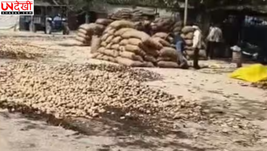 आलू की कीमतों में भारी गिरावट, यूपी के किसान फसल नष्ट करने को मजबूर
