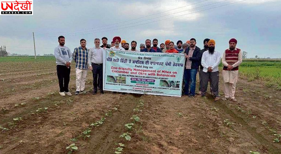 पीएयू के वैज्ञानिकों ने किसानों को सिखाए कीट नियंत्रण के पर्यावरण-अनुकूल तरीके