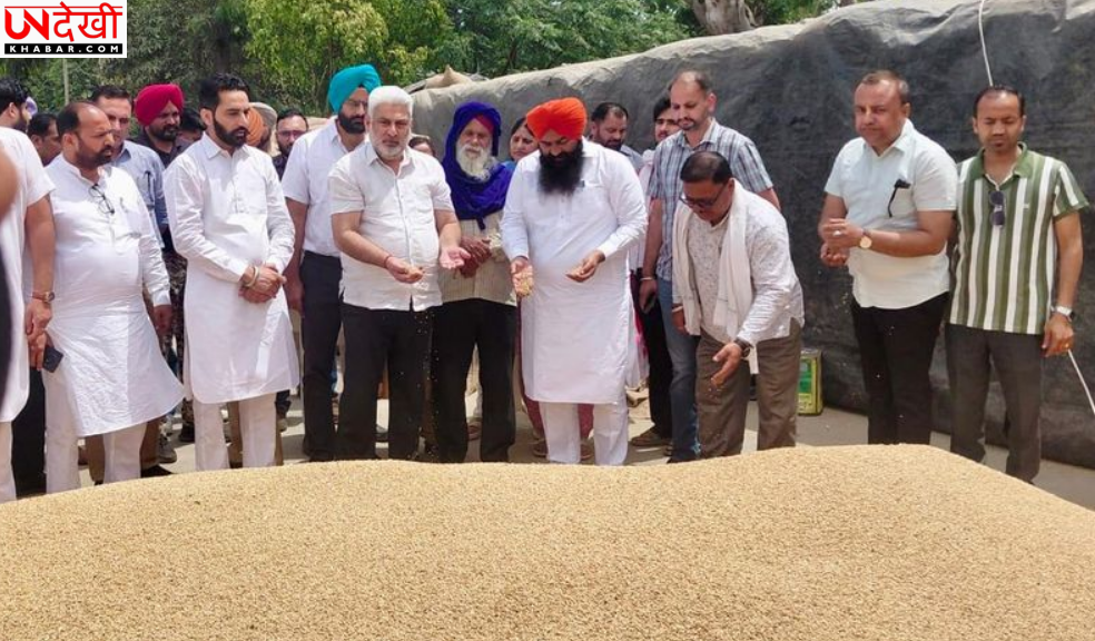 पंजाब में गेहूं खरीद जोरों पर, 24 घंटे में किसानों को भुगतान: मंत्री कतरुचक्क