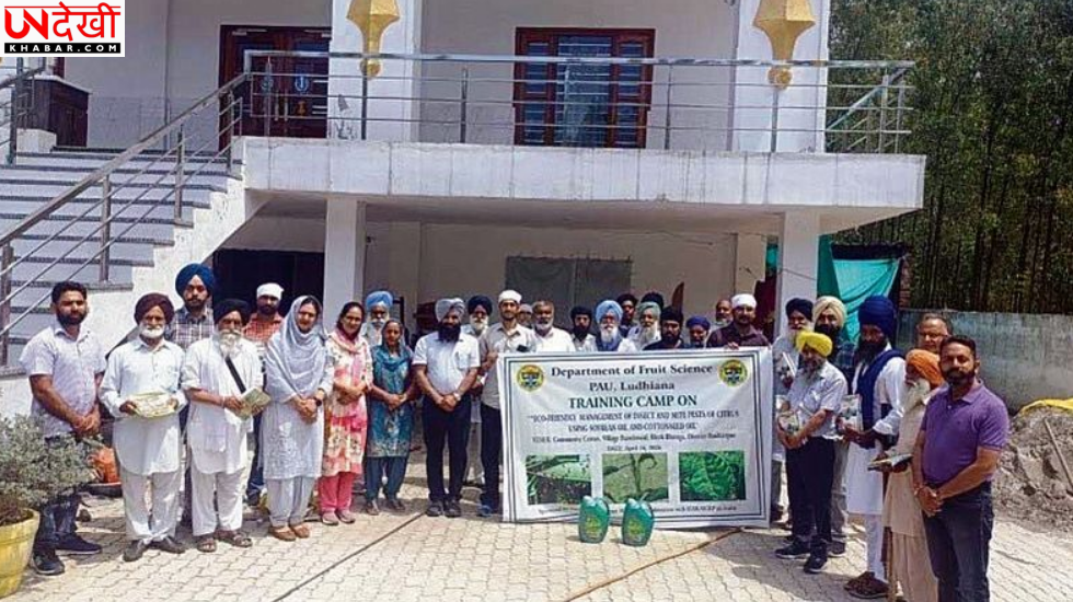 होशियारपुर में किसानों को सिट्रस फलों की इको-फ्रेंडली कीट प्रबंधन की ट्रेनिंग
