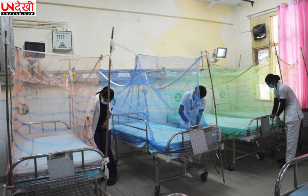 लुधियाना में डेंगू का खतरा बढ़ा, सिविल अस्पताल में 40 बेड का विशेष वार्ड तैयार