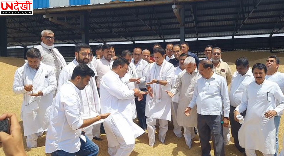 कांग्रेस का हरियाणा सरकार पर हमला, गेहूं खरीद को बताया ‘राजनीतिक ड्रामा’