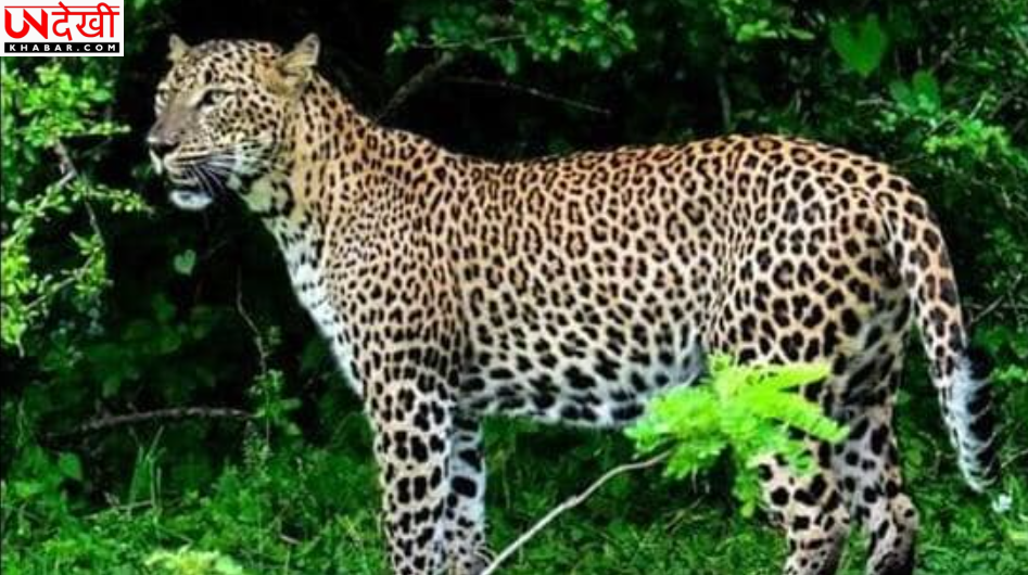 बुलंदशहर में जन्मदिन पार्टी बनी खूनी, जिम में तीन लोगों की गोली मारकर हत्या