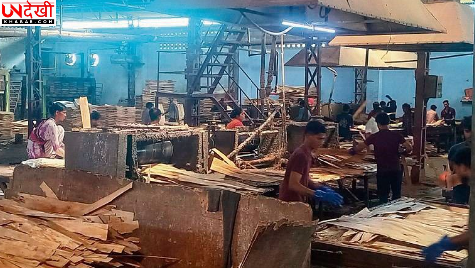 यमुनानगर में प्लाईवुड फैक्ट्रियों पर छापेमारी, कृषि ग्रेड यूरिया के दुरुपयोग की जांच