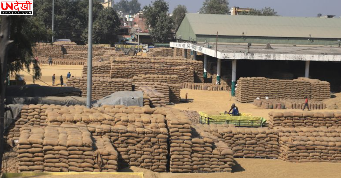 हरियाणा में ‘घोस्ट धान खरीद’ घोटाले पर बड़ी कार्रवाई, खाद्य आपूर्ति विभाग के 5 अधिकारी बर्खास्त