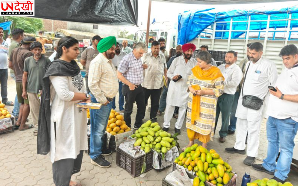 गर्मी में फलों की बढ़ी मांग, स्वास्थ्य विभाग अलर्ट: बाजारों से लिए गए आम, पपीता और केले के सैंपल