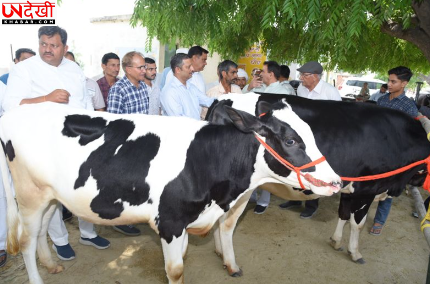 ICAR–NDRI करनाल की बड़ी सफलता: 100 गांवों में नस्ल सुधार मॉडल से डेयरी उत्पादन में बड़ा बदलाव