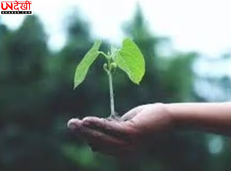 उत्तर प्रदेश में 2026 में 40 करोड़ से अधिक पौधरोपण की तैयारी, हरित क्षेत्र बढ़ाकर 15% करने का लक्ष्य
