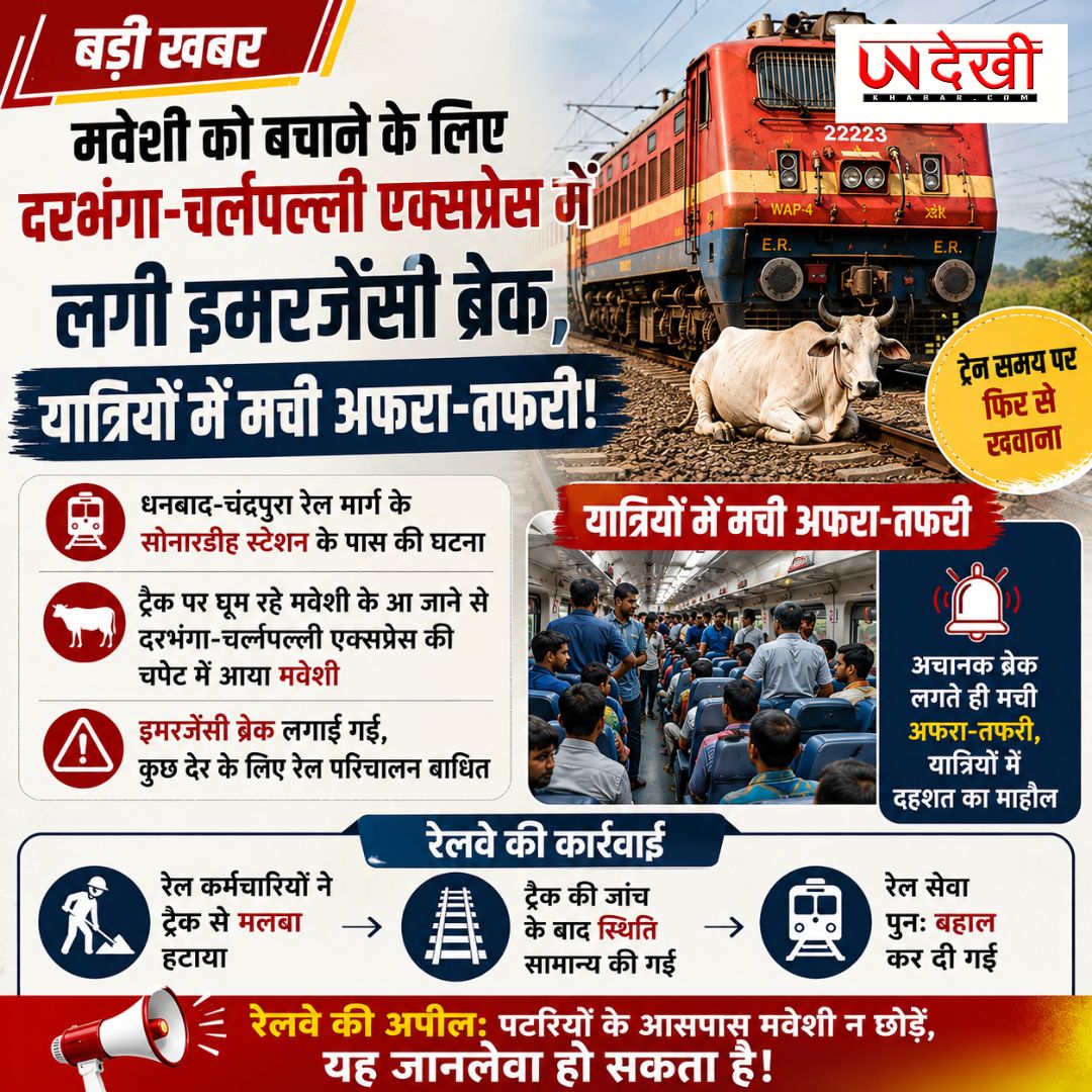 दरभंगा-चर्लपल्ली एक्सप्रेस में मवेशी आने से लगी इमरजेंसी ब्रेक, यात्रियों में मची अफरा-तफरी