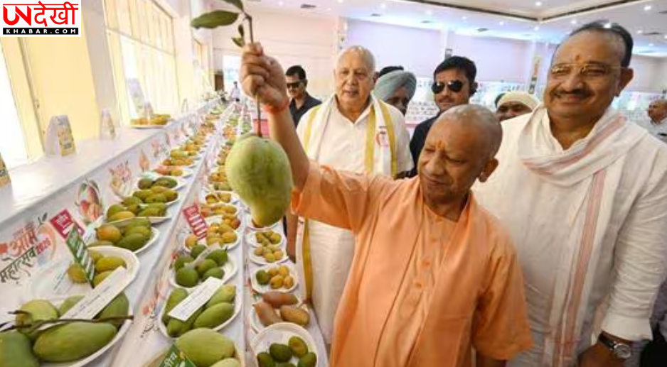 यूपी के आम को वैश्विक ब्रांड बनाने की तैयारी, योगी आदित्यनाथ बोले- उत्पादन नहीं, वैल्यू चेन और निर्यात पर दें जोर