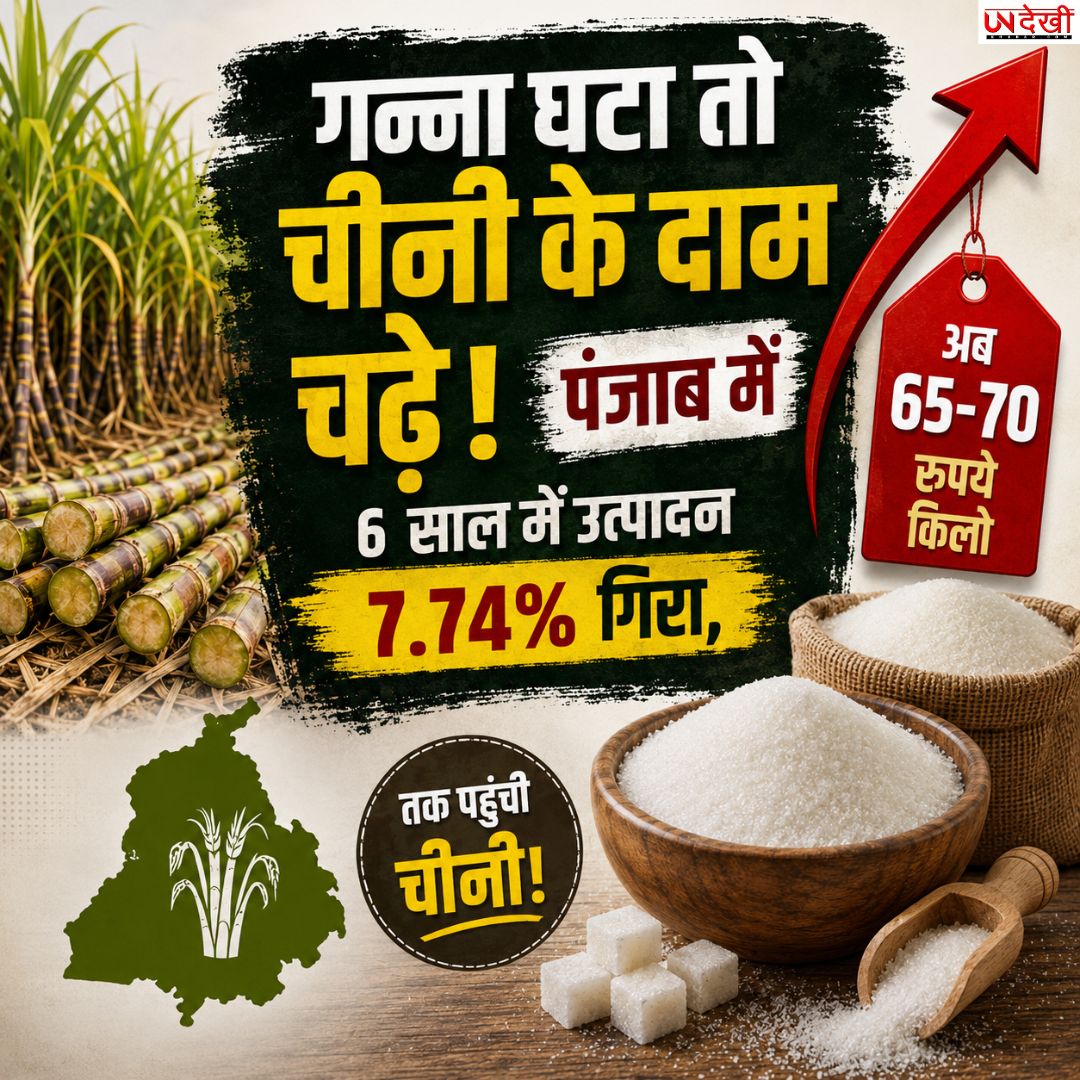 पंजाब में गन्ने का उत्पादन घटा तो बढ़े चीनी के दाम, 6 साल में 7.74% गिरावट; 70 रुपये किलो तक पहुंची कीमत