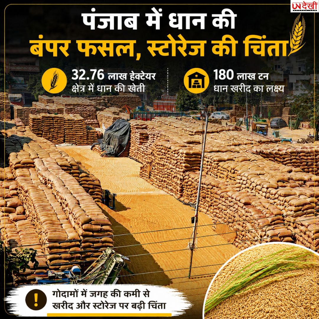 पंजाब में धान की बंपर फसल की तैयारी, लेकिन भंडारण बनेगा बड़ी चुनौती! केंद्र ने तय किया 180 लाख मीट्रिक टन खरीद लक्ष्य