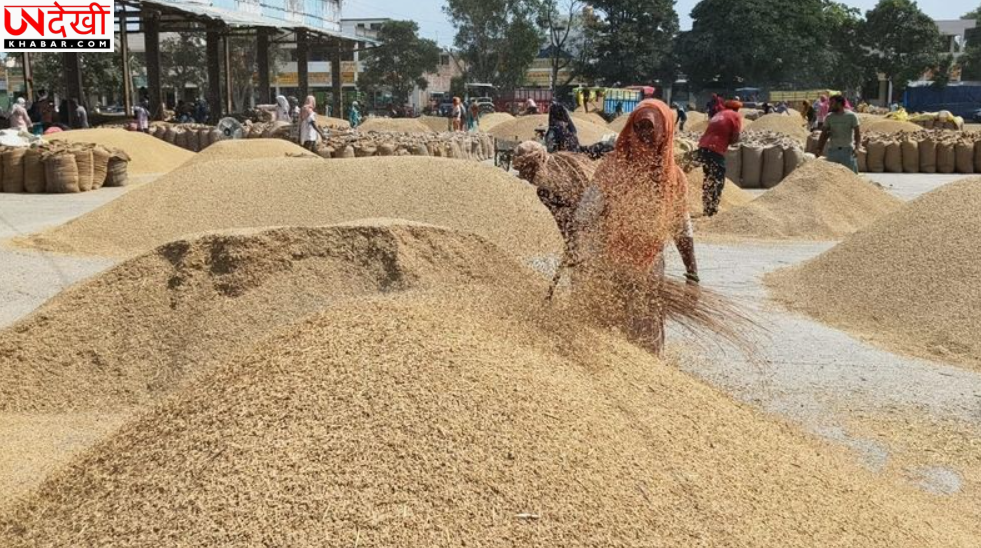 हरियाणा के किसानों के लिए बड़ी खबर! 27 सितंबर तक खुला ‘मेरी फसल मेरा ब्यौरा’ पोर्टल, जानें आवेदन का पूरा तरीका