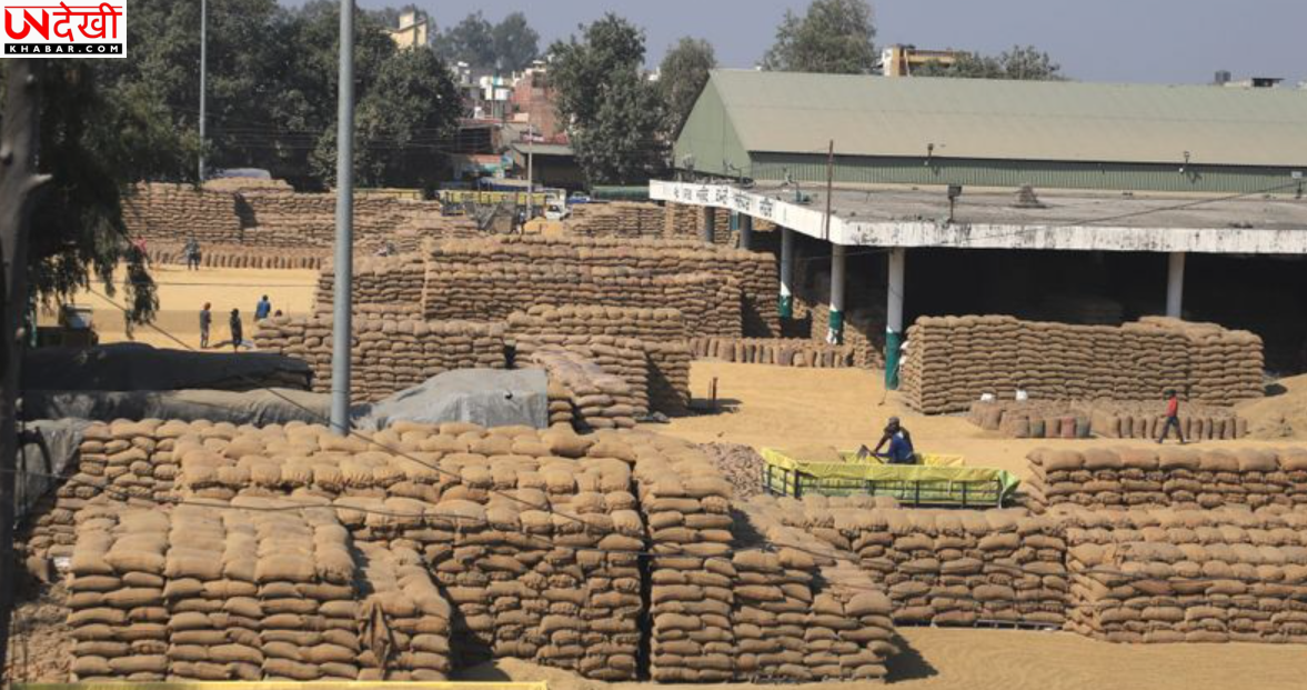हरियाणा में 13.20 लाख एकड़ फसल का सत्यापन लंबित, धान खरीद से पहले किसानों की बढ़ी चिंता