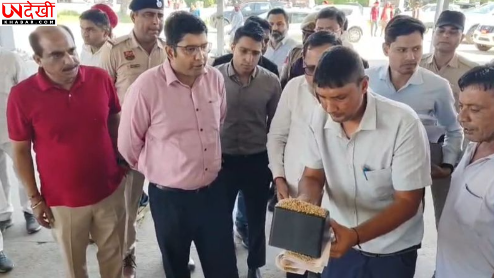 हरियाणा में धान खरीद की तैयारियों का DC ने लिया जायजा, 17% नमी पर ही होगी खरीद; MSP ₹2,461 प्रति क्विंटल