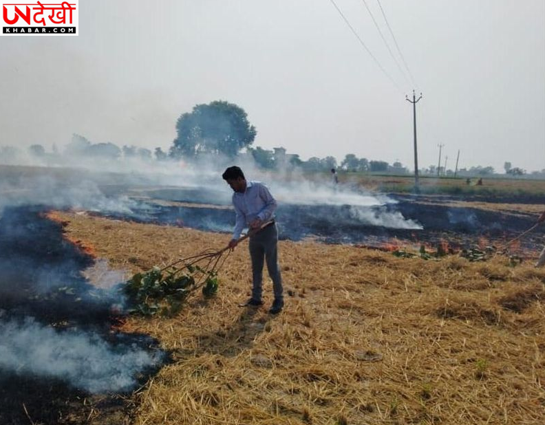 पराली जलाने की घटनाओं में बड़ी गिरावट, पंजाब के जिले में अब तक सिर्फ 23 मामले; इंडस्ट्री में हो रहा धान के भूसे का इस्तेमाल