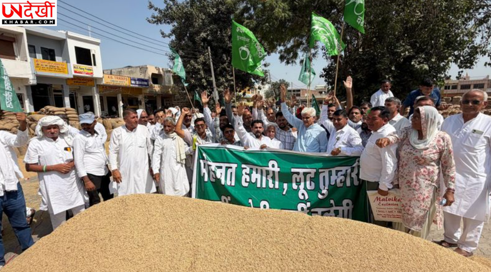 कैथल मंडी में धान खरीद को लेकर INLD का प्रदर्शन, MSP पर खरीद और किसानों की समस्याएं दूर करने की मांग