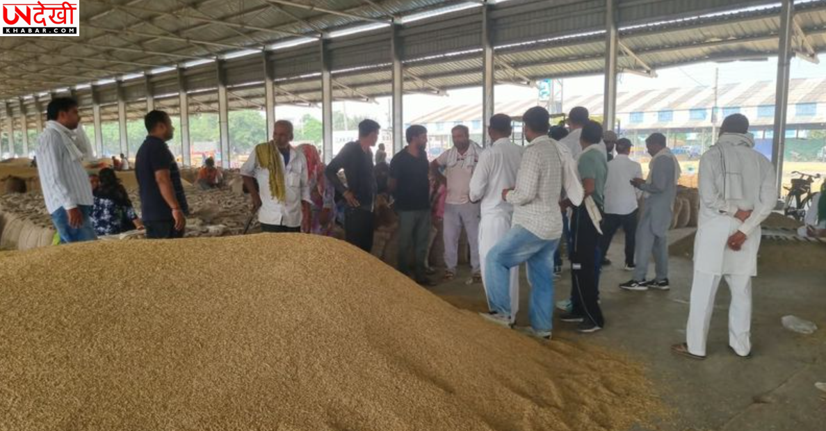 करनाल की मंडियों में धान खरीद की रफ्तार धीमी, 4 से 7 दिन से फसल लेकर इंतजार कर रहे किसान