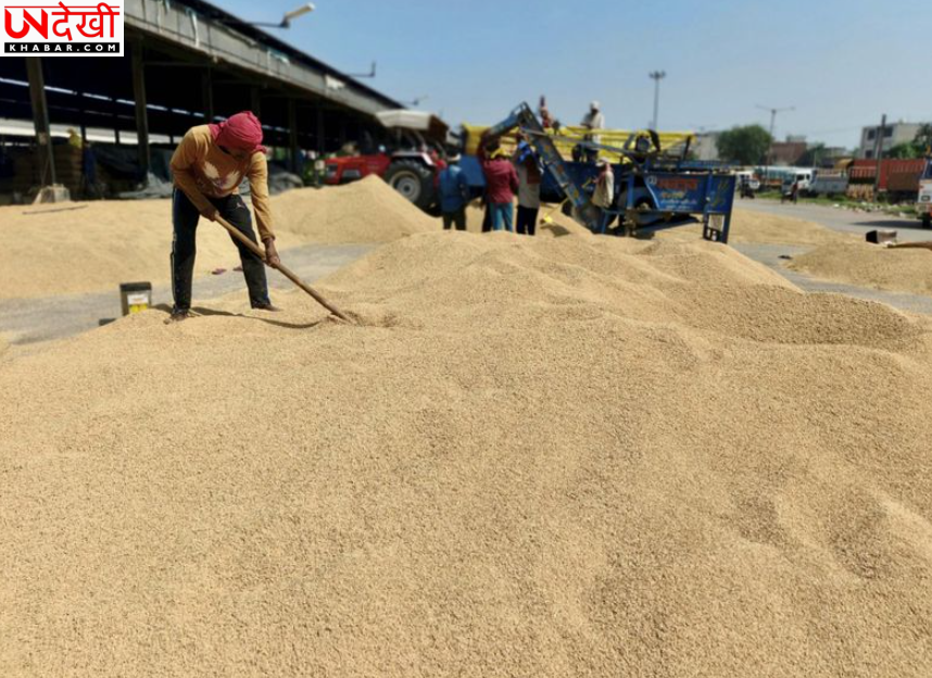 पंजाब की मंडियों में धान की नमी जांच पर विवाद, किसानों का आरोप- एक ही फसल की रिपोर्ट में बड़ा अंतर