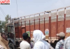 सिरसा की अनाज मंडी में बड़ा हादसा, ट्रक में करंट उतरने से मालिक और ड्राइवर की मौत