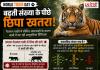 World Tiger Day 2026: बढ़ती संख्या के बीच नया खतरा! बाघों पर मंडराया 'जेनेटिक संकट', वैज्ञानिकों की बढ़ी चिंता
