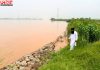 Punjab Flood Alert: Baupur Bundh टूटने की पुरानी यादें फिर ताजा, Beas के बढ़ते जलस्तर से गांवों में चिंता