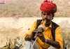 हरियाणा में बीन वादन की राज्य स्तरीय प्रतियोगिता 2 सितंबर को, विजेता को मिलेगा 75 हजार रुपये का पुरस्कार
