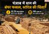 पंजाब में धान की बंपर फसल की तैयारी, लेकिन भंडारण बनेगा बड़ी चुनौती! केंद्र ने तय किया 180 लाख मीट्रिक टन खरीद लक्ष्य