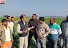 हिमाचल के प्रगतिशील किसानों ने करनाल में प्राकृतिक खेती की उन्नत तकनीकों का लिया प्रशिक्षण