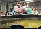 बायोफ्लॉक एक्वाकल्चर पर 3 दिवसीय प्रशिक्षण, ग्रामीण महिलाओं की बढ़ी भागीदारी