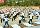 अंतरराष्ट्रीय योग दिवस 2026: करनाल और कैथल में योगमय हुआ माहौल, हजारों लोगों ने किया सामूहिक योगाभ्यास
