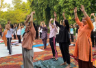 गर्मी की छुट्टियों के बावजूद योग दिवस पर दिखा युवाओं का उत्साह, 3,000 से अधिक NCC कैडेट और NSS स्वयंसेवकों ने लिया हिस्सा