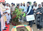 हराभरा सिरसा 2.0 अभियान का शुभारंभ, मुख्यमंत्री नायब सिंह सैनी ने किया पौधारोपण; सिरसा किन्नू के GI टैग पर किसानों को दी बधाई