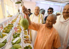 यूपी के आम को वैश्विक ब्रांड बनाने की तैयारी, योगी आदित्यनाथ बोले- उत्पादन नहीं, वैल्यू चेन और निर्यात पर दें जोर
