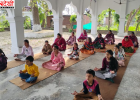 पठानकोट के गांवों में बढ़ा योग का क्रेज, 'CM दी योगशाला' से जुड़ रहे हजारों लोग; मंत्री बोले- नशे से बचाने में कारगर पहल