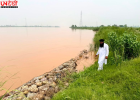 Punjab Flood Alert: Baupur Bundh टूटने की पुरानी यादें फिर ताजा, Beas के बढ़ते जलस्तर से गांवों में चिंता