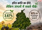 हरित क्रांति का हीरो, लेकिन जंगलों में सबसे पीछे! पंजाब का सिर्फ 3.67% हिस्सा ही वन, पर्यावरण पर बढ़ा बड़ा खतरा