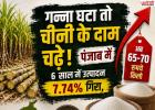 पंजाब में गन्ने का उत्पादन घटा तो बढ़े चीनी के दाम, 6 साल में 7.74% गिरावट; 70 रुपये किलो तक पहुंची कीमत