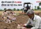 खेत में दबाए थे ₹5 लाख, जुताई के दौरान मिला रुपयों से भरा बैग; 75% नोट दीमक ने कर दिए खराब