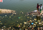 सिरसा नदी में बढ़ता प्रदूषण बना गंभीर संकट, बद्दी के औद्योगिक कचरे और सीवेज पर उठे सवाल