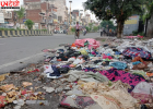 अमृतसर की 450वीं वर्षगांठ से पहले सफाई की मांग तेज, कचरे और प्रदूषण पर बढ़ी चिंता