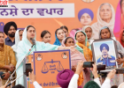 हरसिमरत कौर बादल का CM भगवंत मान पर गंभीर आरोप, नशे की ओवरडोज से मृत युवक का शव पुलिस द्वारा कब्जे में लेने का दावा