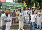 अंबाला में धान खरीद की सीमा को लेकर किसानों का धरना, 32 क्विंटल प्रति एकड़ करने की मांग
